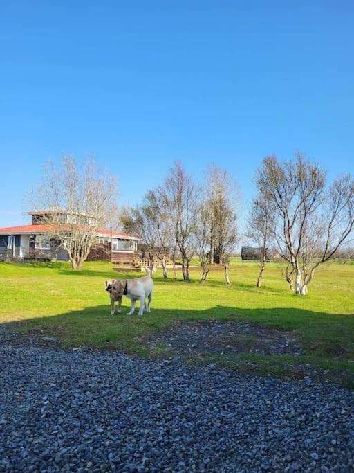 Sibbu Hus Villa Brjansstadir Exterior photo